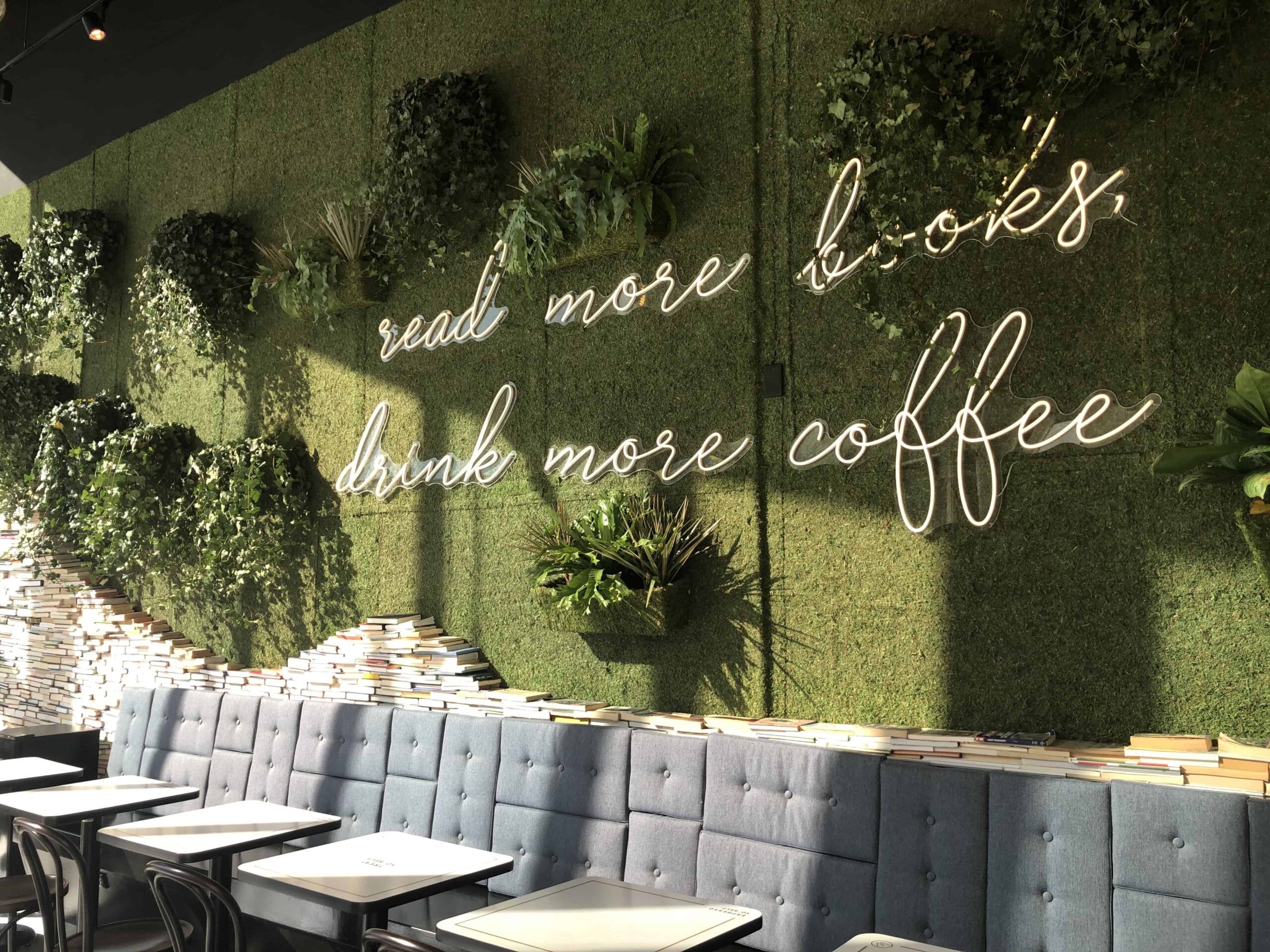 winfield street coffee stamford