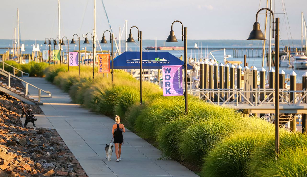 harbor point