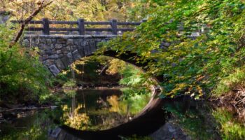 Mianus River Hiking Trails Thumbnail