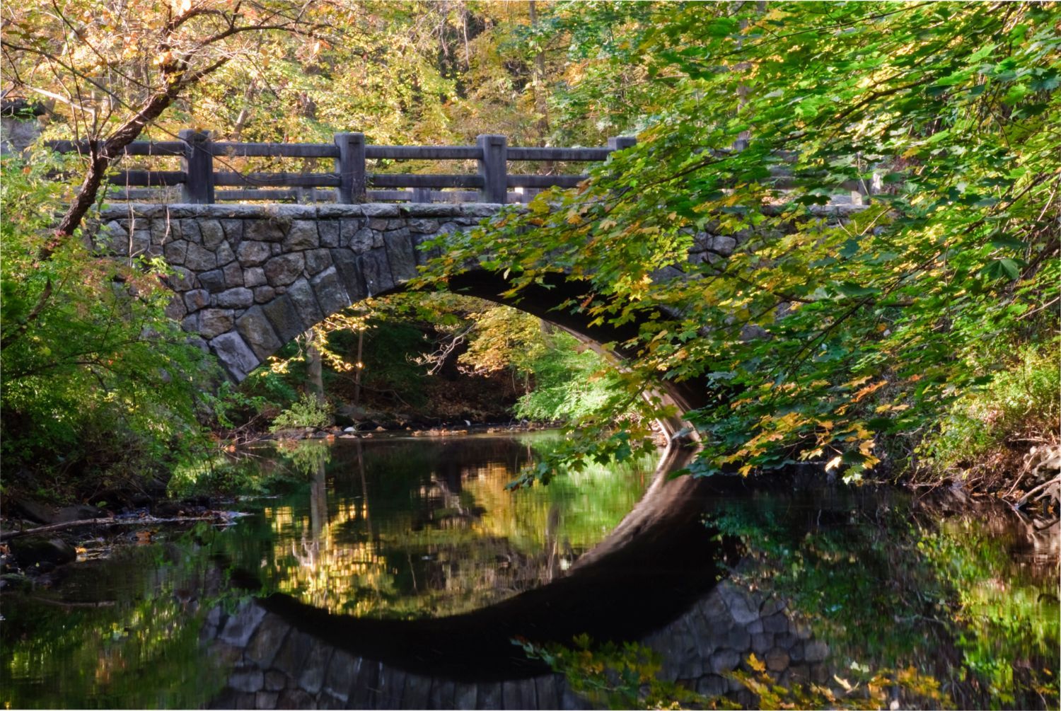 mianus state park
