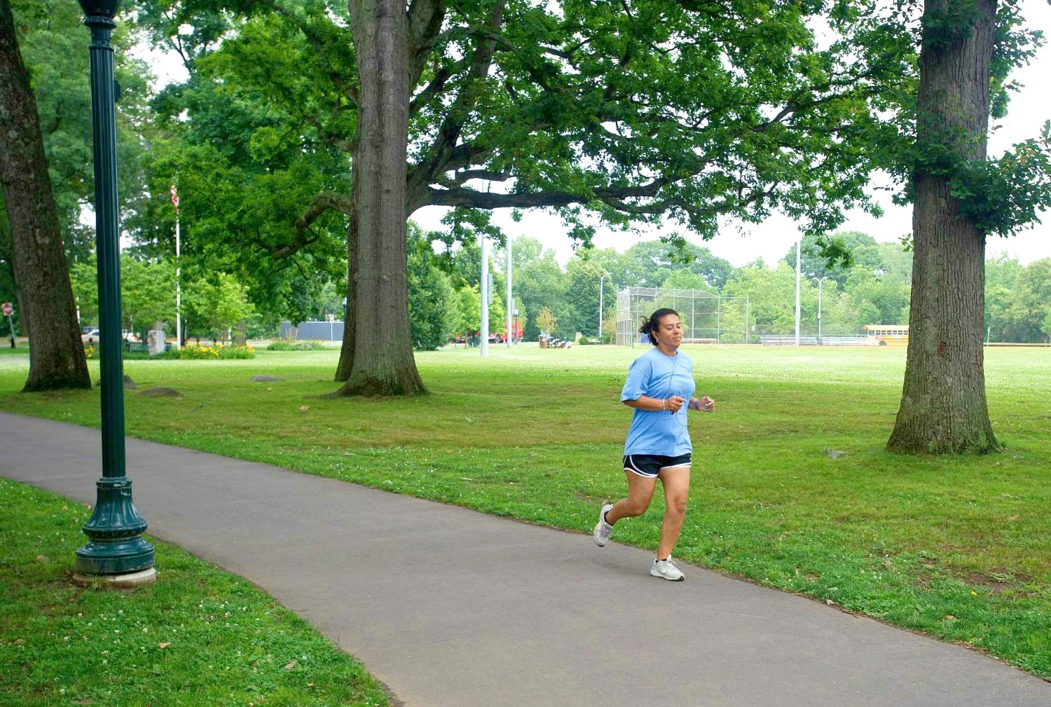 scalzi park stamford